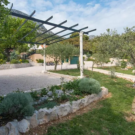 Andro * 오레비츠