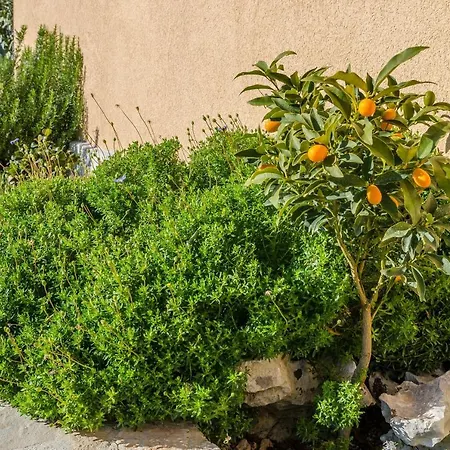 וילה Andro אורביץ